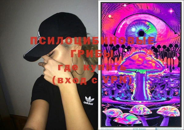 дмт Армянск