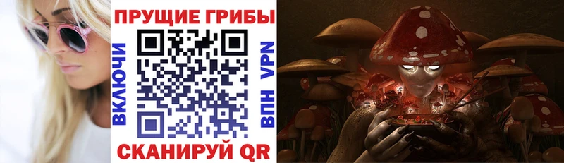 цена   Мелеуз  Галлюциногенные грибы прущие грибы 